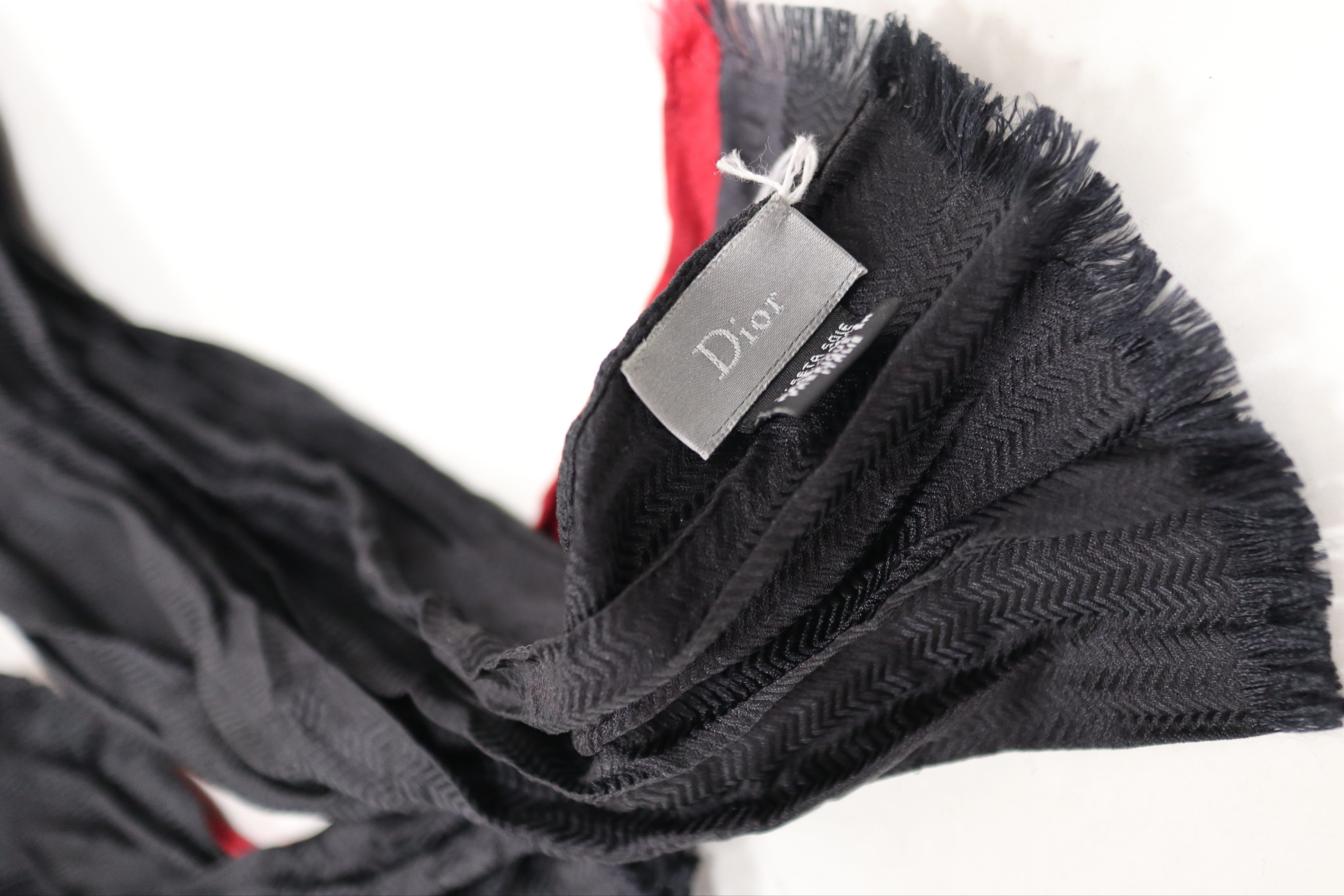 DIOR Scarf