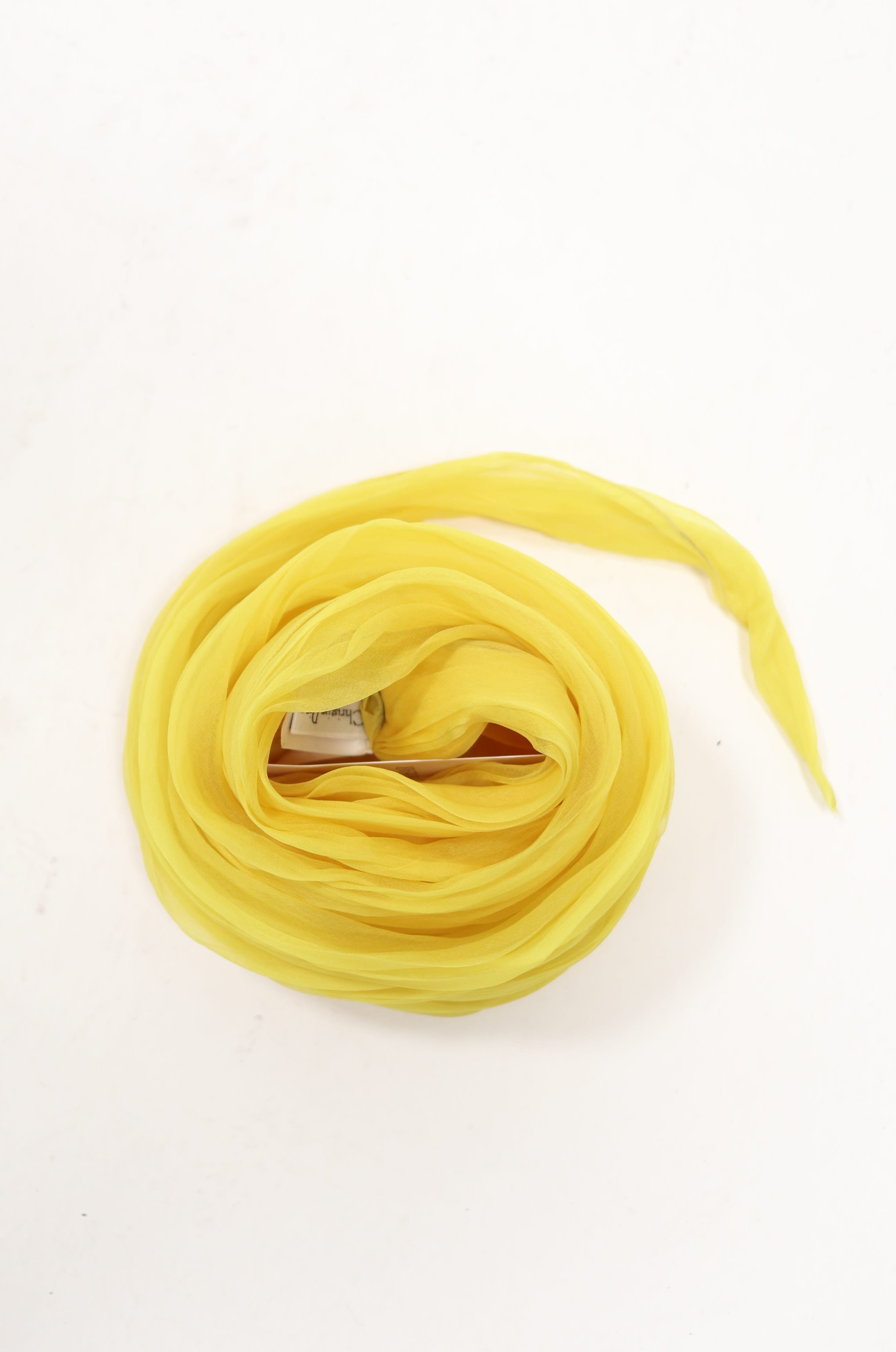 DIOR Silk Belt